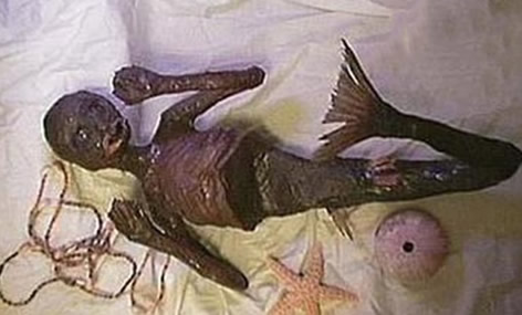 美人鱼是真的吗:世界上真的存在美人鱼,关于美人鱼的说法 美人鱼是真的吗:世界上真的存在美人鱼,关于美人鱼的说法