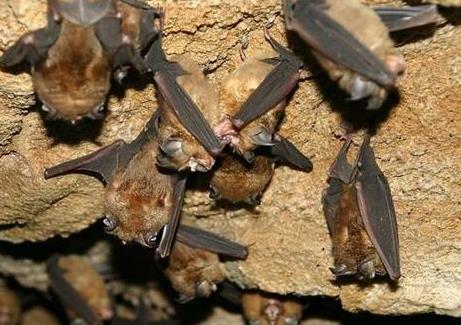 未解之谜与震惊事件:历史上至今无法解释的事件 未解之谜与震惊事件:历史上至今无法解释的事件