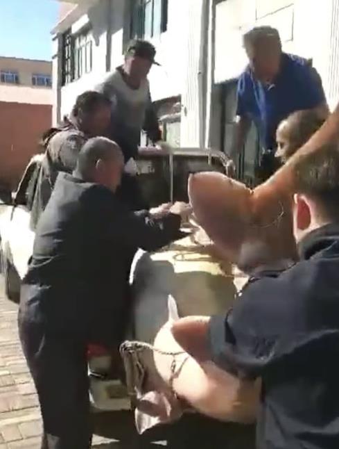 渔民捕1028斤鳇鱼：鱼行老板出价28万元收购（图）