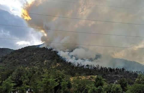 大理山火浓烟滚滚：大理苍山发生山火,山火浓烟滚滚(图)