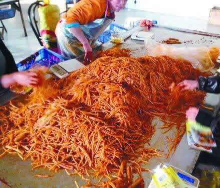 史上最牛零食:辣条放心吃,国家标准让辣条更值得放心 史上最牛零食:辣条放心吃,国家标准让辣条更值得放心