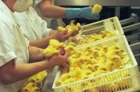 奇葩高薪职业大盘点:陪购师凭逛街赚钱(图) 奇葩高薪职业大盘点:陪购师凭逛街赚钱(图)