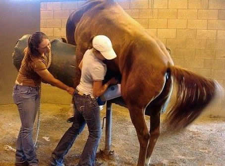 奇葩的职业有哪些：世界奇葩的工作