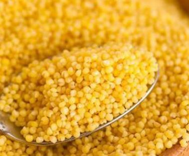 男人的十大补品:十大补肾壮阳食物排行榜 男人的十大补品:十大补肾壮阳食物排行榜