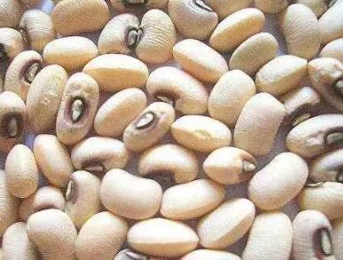 男人的十大补品:十大补肾壮阳食物排行榜 男人的十大补品:十大补肾壮阳食物排行榜