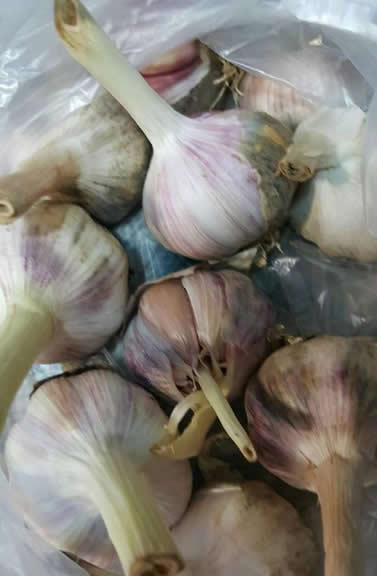 喜欢吃糖醋蒜吗：不蔫不坏还超脆糖醋蒜怎么腌