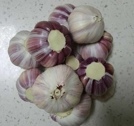 喜欢吃糖醋蒜吗：不蔫不坏还超脆糖醋蒜怎么腌