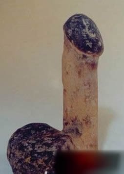 古代女人夫妻生活用品：寡妇的秘宝揭秘（老古董）