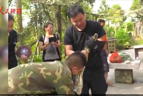 云南现34斤缅甸蟒:一条巨蟒17公斤重,森警及时救助放生 云南现34斤缅甸蟒:一条巨蟒17公斤重,森警及时救助放生