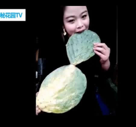 女子作死直播生吃仙人掌：像吃烧饼一样（图）