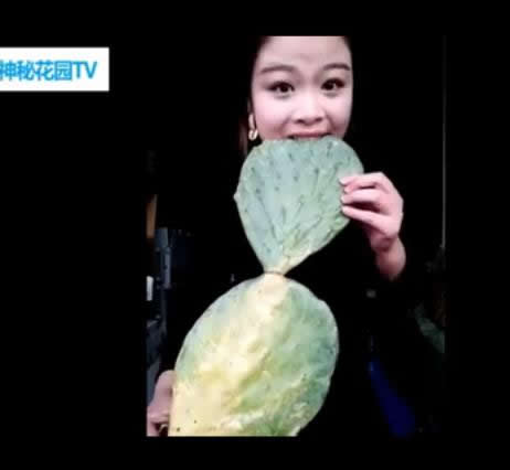 女子作死直播生吃仙人掌：像吃烧饼一样（图）
