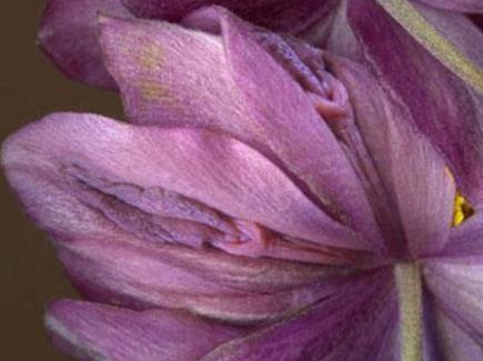 女人十大名器图片:女人最美名器外阴祥文花型图演绎 女人十大名器图片:女人最美名器外阴祥文花型图演绎