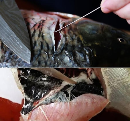 七问真假三文鱼：三文鱼真假辨别,真假三文鱼的区别图