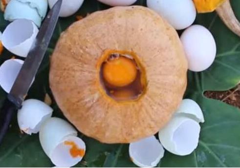 在南瓜里打了10个鸡蛋,柴火烧1个小时(图) 在南瓜里打了10个鸡蛋,柴火烧1个小时(图)