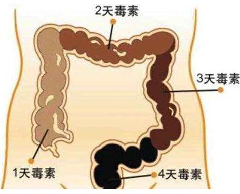 总是放屁的人注意了：身体发出的一种警告,已经出现问题