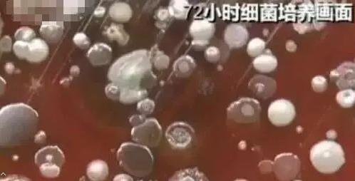 手机镜头竟能照出马桶上的脏东西:快试试(图) 手机镜头竟能照出马桶上的脏东西:快试试(图)