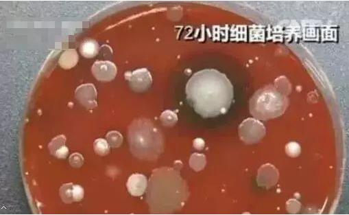 手机镜头竟能照出马桶上的脏东西:快试试(图) 手机镜头竟能照出马桶上的脏东西:快试试(图)