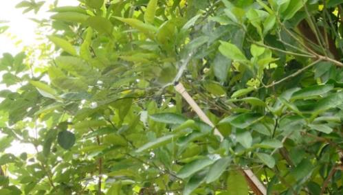 不明液体掉进嘴里：探亲路上意外中了毒,眼前一黑