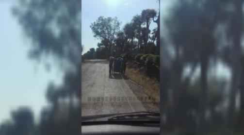 不明液体掉进嘴里：探亲路上意外中了毒,眼前一黑