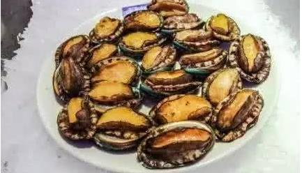 鲍鱼什么意思:鲍鱼几头是什么意思,怎么挑选鲍鱼 鲍鱼什么意思:鲍鱼几头是什么意思,怎么挑选鲍鱼