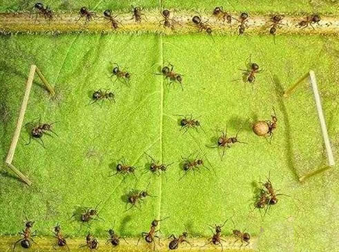 四维空间的生物就是鬼:什么是四维空间,四维空间的生命 四维空间的生物就是鬼:什么是四维空间,四维空间的生命