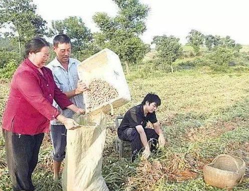 80后农村童年回忆：80年代的农村样子回忆童年图片