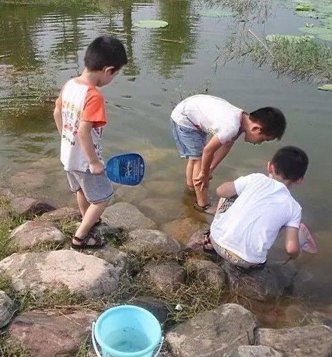 80后农村童年回忆：80年代的农村样子回忆童年图片