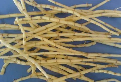 农村八零后的童年回忆图片：80后农村孩子的童年