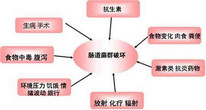 两个人在一起的时间长了为什么有夫妻相?（图）