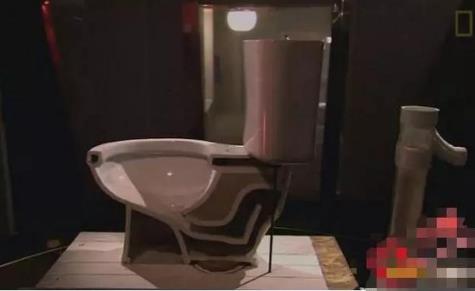 看看老鼠是如何从下水道进入你家的:有图有真相 看看老鼠是如何从下水道进入你家的:有图有真相