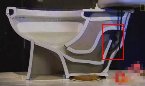 看看老鼠是如何从下水道进入你家的:有图有真相 看看老鼠是如何从下水道进入你家的:有图有真相