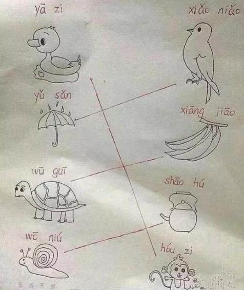 这套小学试题火了:大学生看了头疼你会吗,奇葩试题盘点 这套小学试题火了:大学生看了头疼你会吗,奇葩试题盘点