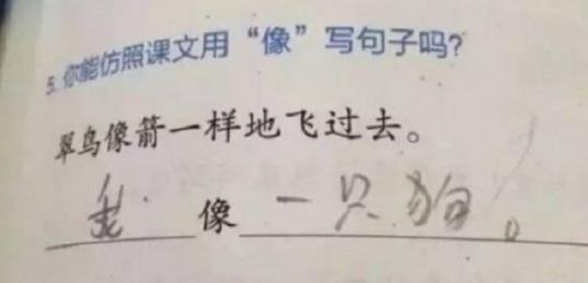 这套小学试题火了：大学生看了头疼你会吗,奇葩试题盘点