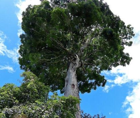 海洋最深的鱼类：2018十大新奇物种名单（图）