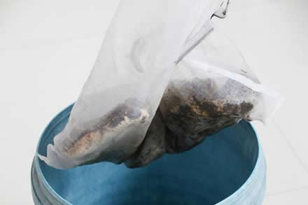 村民捉4斤重五步蛇：被五步蛇咬了只能走五步么,被咬了怎么办