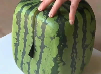 方形西瓜切开图片：日本方形西瓜 切开爆笑中国人