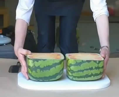 方形西瓜切开图片：日本方形西瓜 切开爆笑中国人