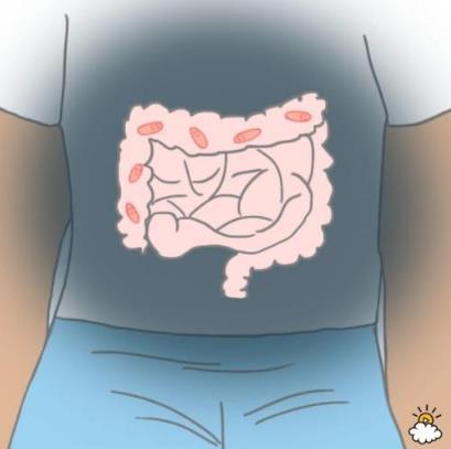 放屁多跟什么有关是什么原因:谈谈放屁的那些事 放屁多跟什么有关是什么原因:谈谈放屁的那些事