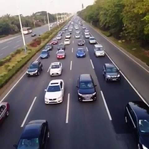 女司机撞狗后吓晕:狗狗高速上被撞,行40公里被救下还活着 女司机撞狗后吓晕:狗狗高速上被撞,行40公里被救下还活着