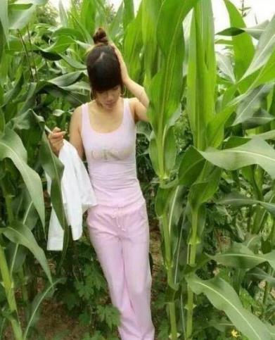 老婆每天一到晚上都去玉米地里干活