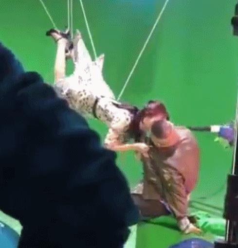 画面太美不敢想：吻戏片段画面定格,小岳岳眉头微皱