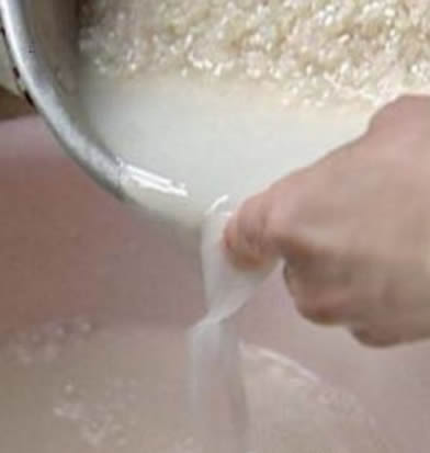 淘米水如何正确的浇花:营养原理,淘米水使用注意 淘米水如何正确的浇花:营养原理,淘米水使用注意