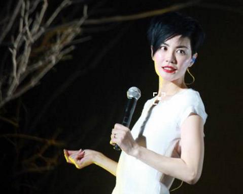 王菲歌曲大全100首：王菲歌曲精选好听的歌曲推荐