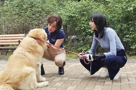 刘晓庆帅气干练:上围丰满身姿挺拔,刘晓庆年轻时的照片 刘晓庆帅气干练:上围丰满身姿挺拔,刘晓庆年轻时的照片