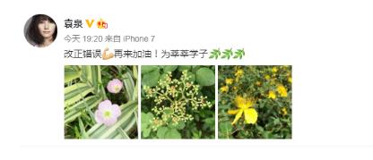 高考学子加油!杨幂刘诗诗何炅吴亦凡等为你打call（组图）