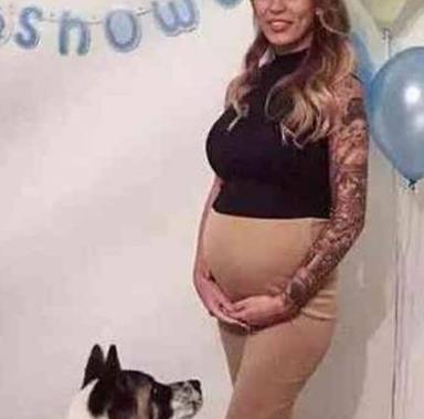 主人怀孕时狗狗经常顶她肚子,去医院检查后医生傻了! 主人怀孕时狗狗经常顶她肚子,去医院检查后医生傻了!