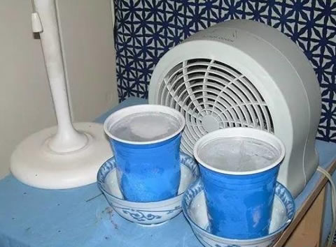 房间里只靠一杯水就能下降十度!这方法不可思议!