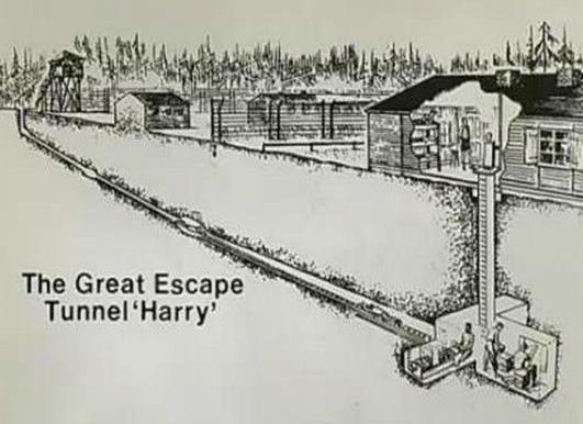 十大不可思议事件:世界上十大最不可思议的越狱事件