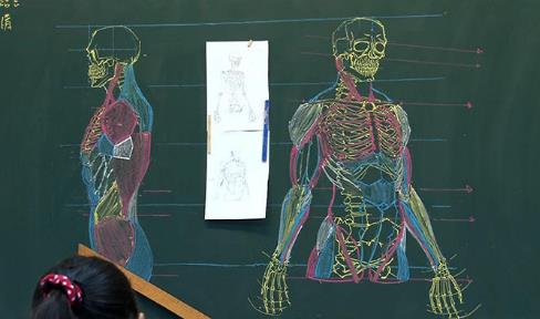 台湾教师板书逆天：骨骼素描精美细致,堪称完美（图）