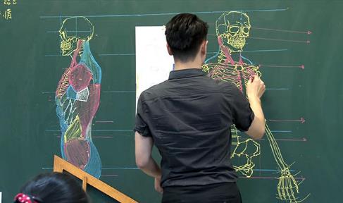 台湾教师板书逆天：骨骼素描精美细致,堪称完美（图）